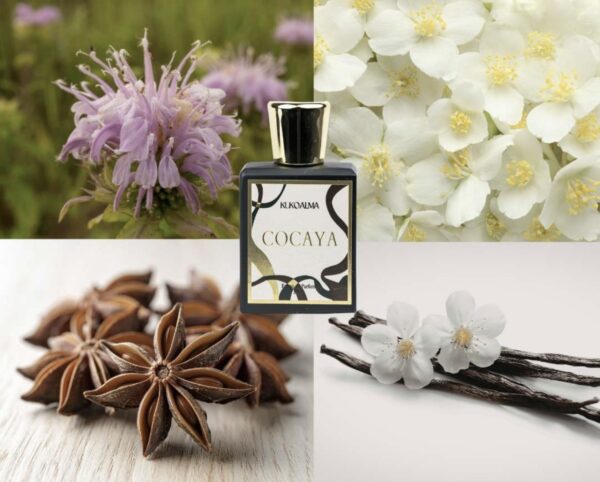 Cocaya